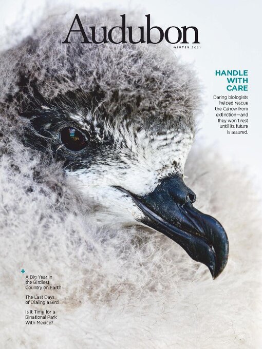 Title details for Audubon Magazine by National Audubon Society - Available